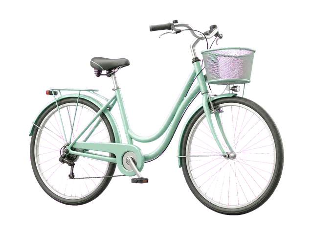 Bicicletta urbana GreenRide